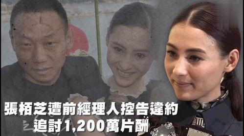 718吃瓜娱乐官网,揭秘娱乐圈最新热点，带你畅游娱乐世界